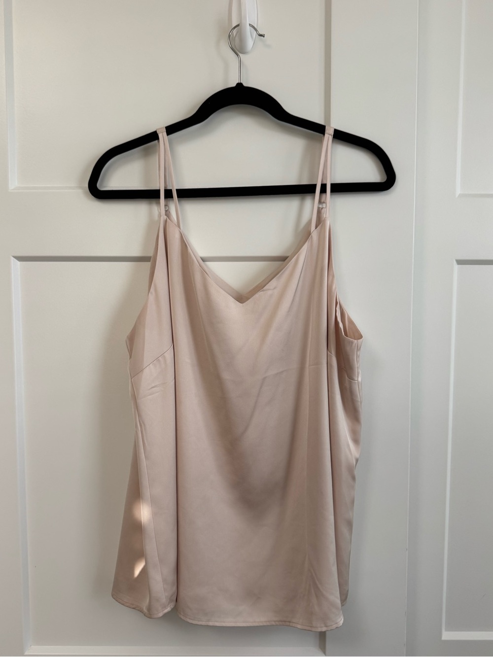 Skies Are Blue Blush V-Neck Satin Camisole